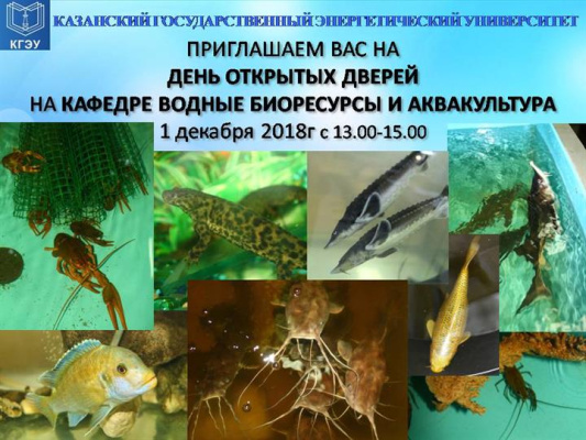 ПРИГЛАШАЕМ ВАС НА ДЕНЬ ОТКРЫТЫХ ДВЕРЕЙ НА КАФЕДРЕ ВОДНЫЕ БИОРЕСУРСЫ И АКВАКУЛЬТУРА