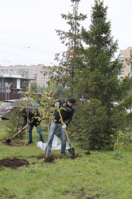 Акция "Зеленый рекорд"- 2013